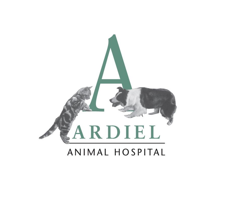 Ardiel Animal Hospital